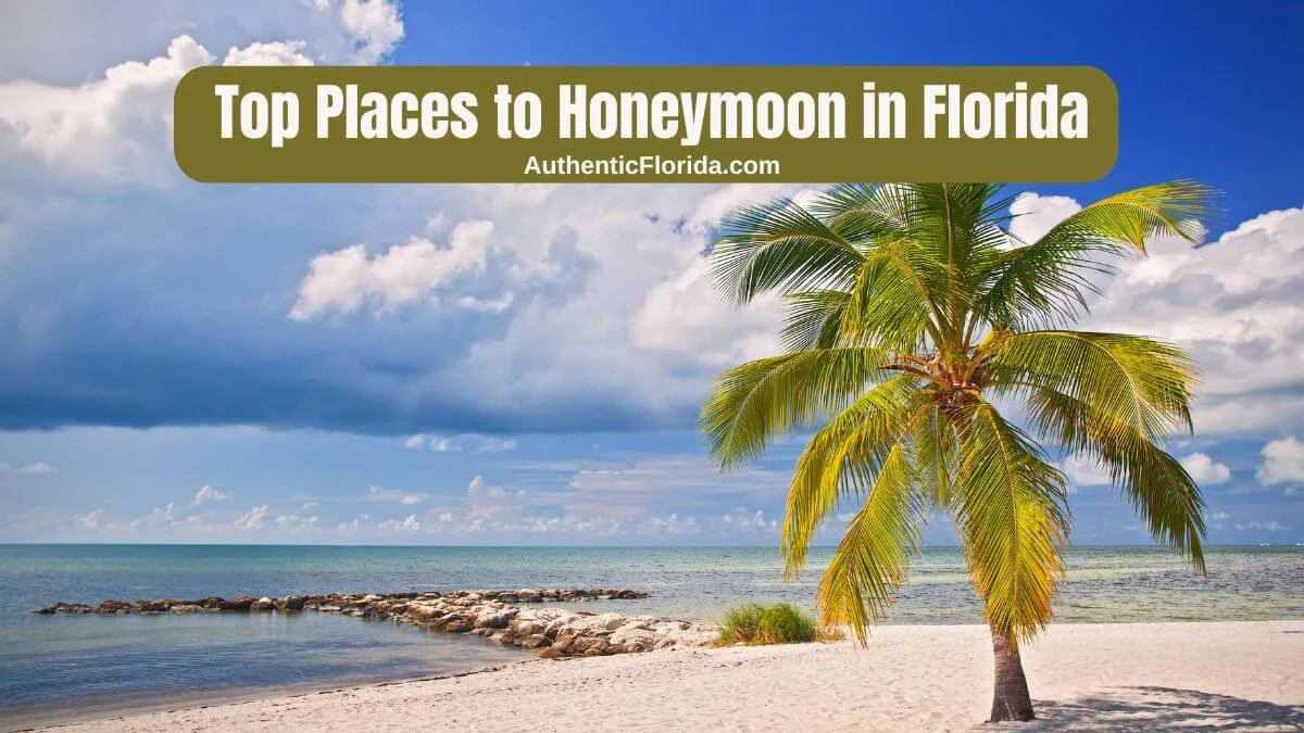 9362 miami beach honeymoon