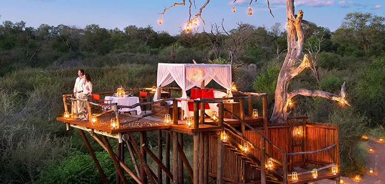 9366 south africa honeymoon safari