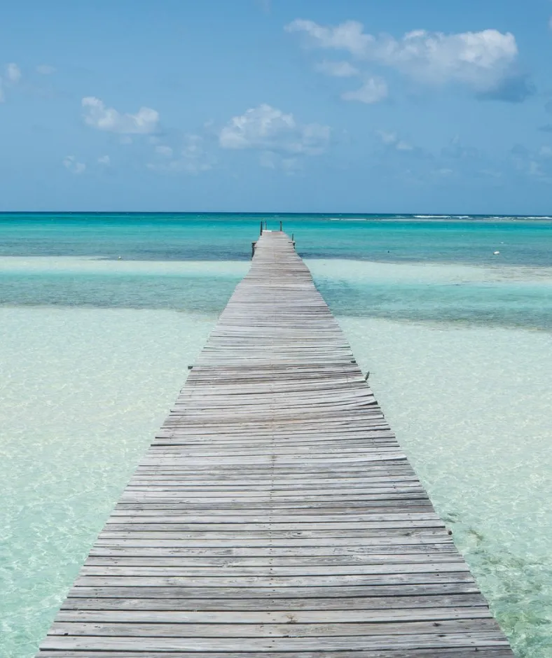 9372 bahamas honeymoon couple