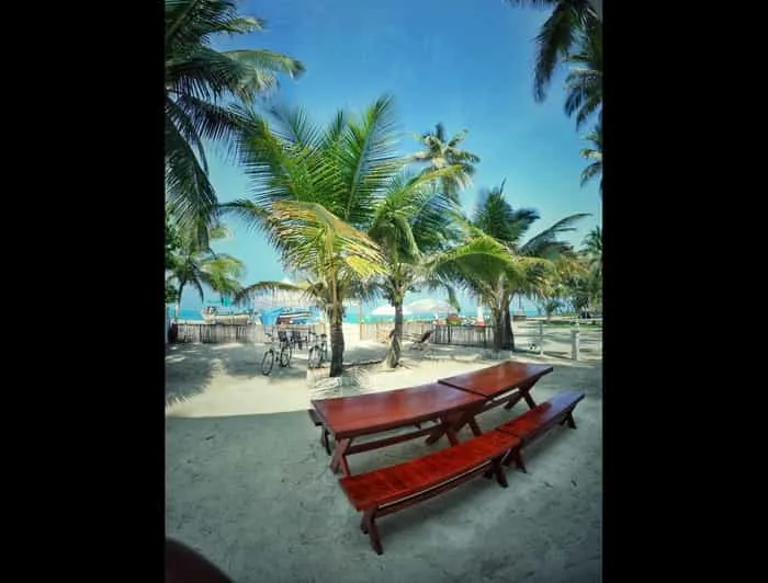 9383 kadmat island honeymoon