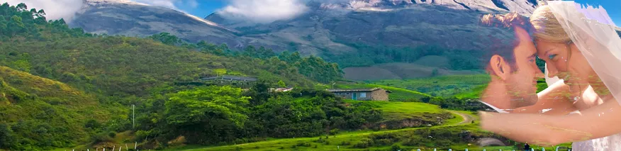 9384 munnar spa retreat