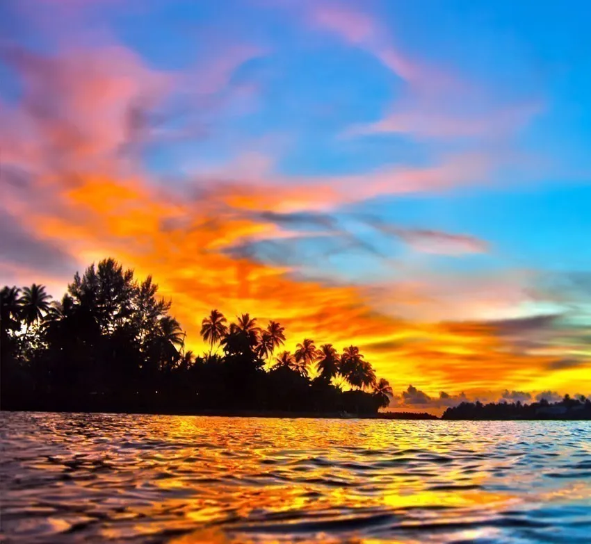 9387 overwater bungalows