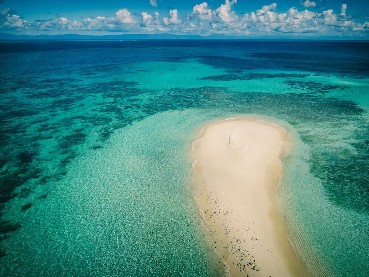 9398 daintree rainforest