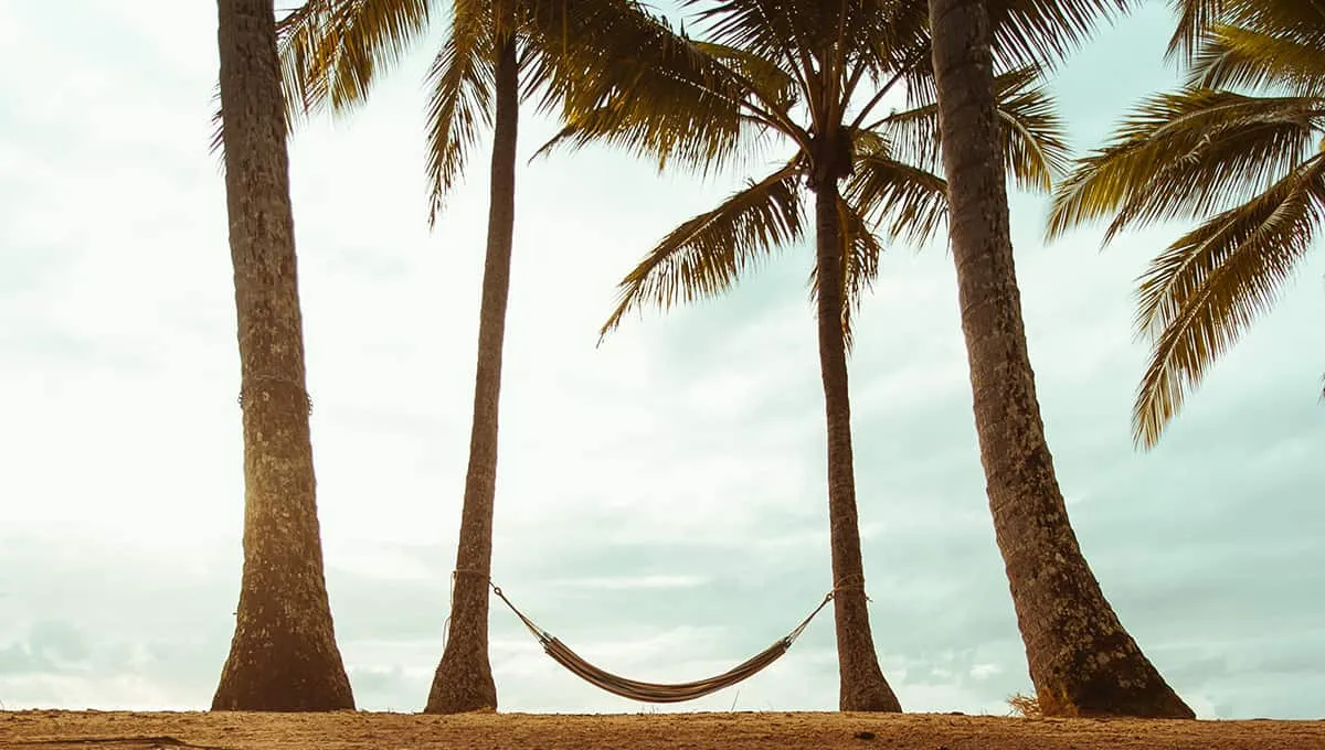 9398 silky oaks lodge