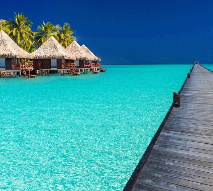 9401 sunset beach honeymoon