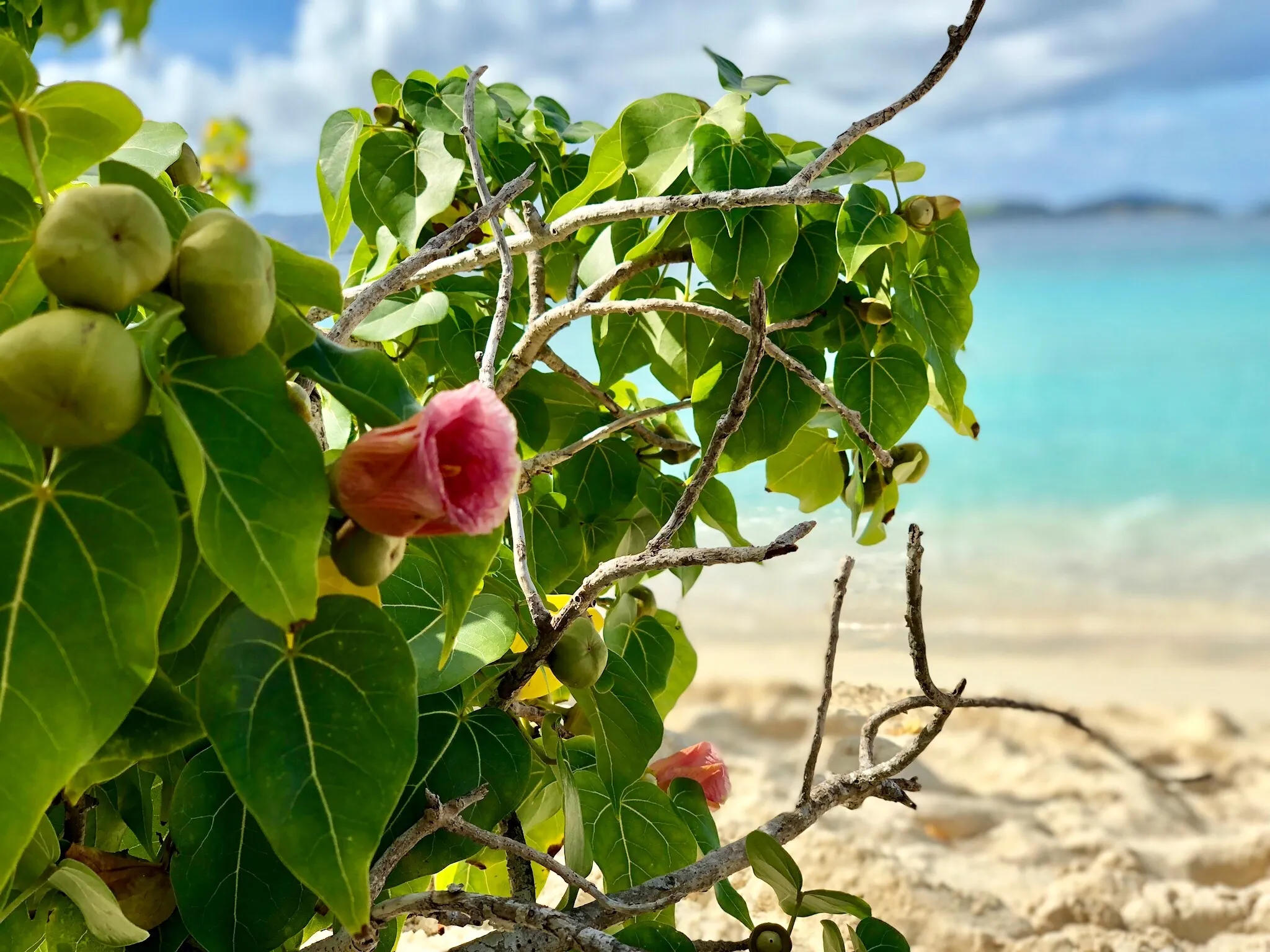 9424 couple kayaking