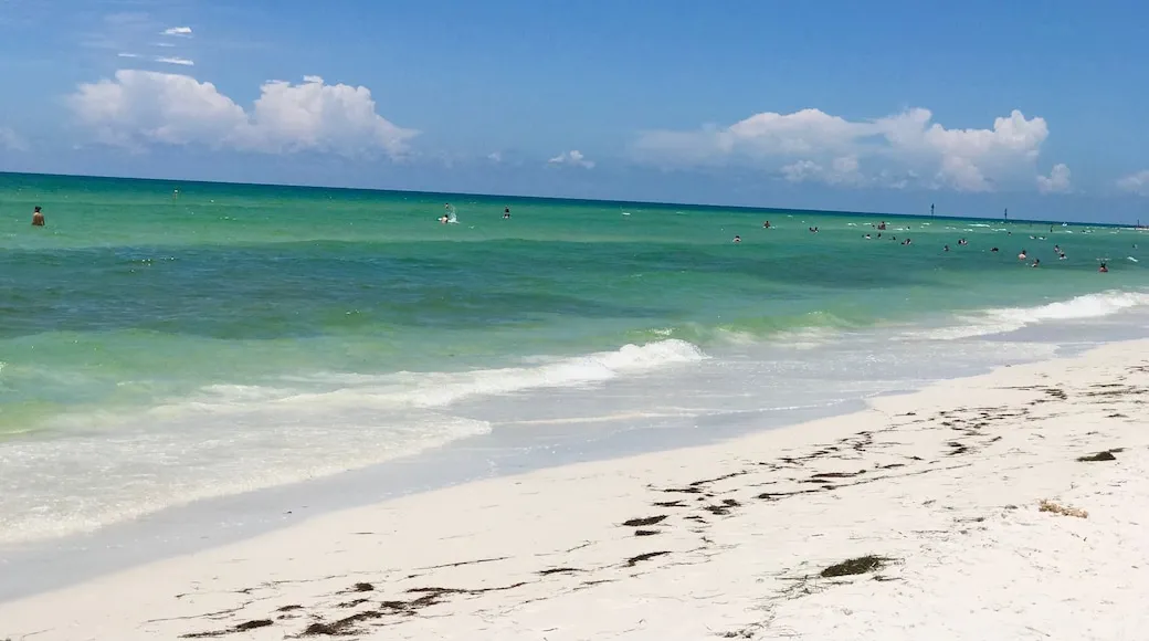 9431 honeymoon island beach