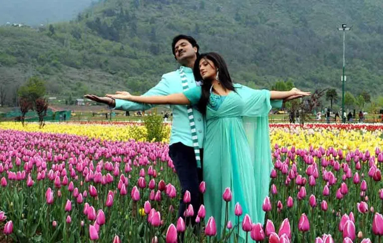 9449 goa beach honeymoon