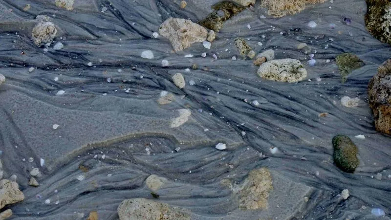 9459 fishing license