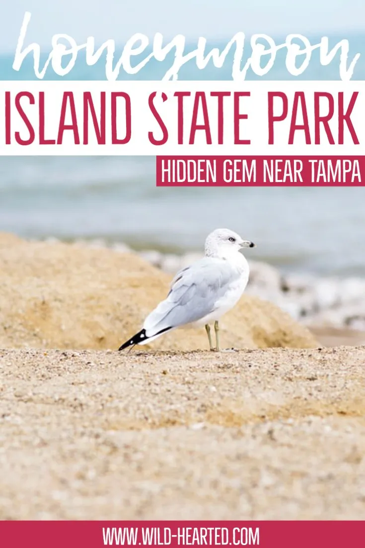 9459 honeymoon island fishing spots