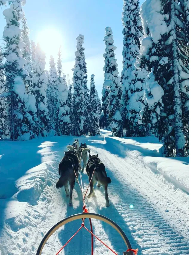 9466 beach resort honeymoon