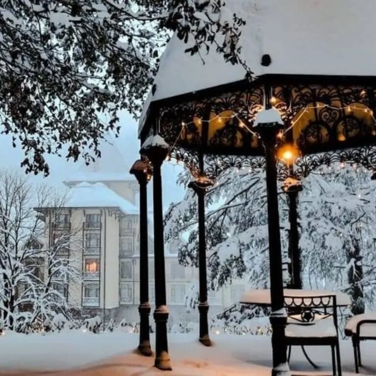 9466 honeymoon planning checklist