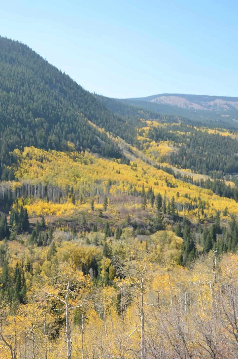 9467 savannah georgia honeymoon