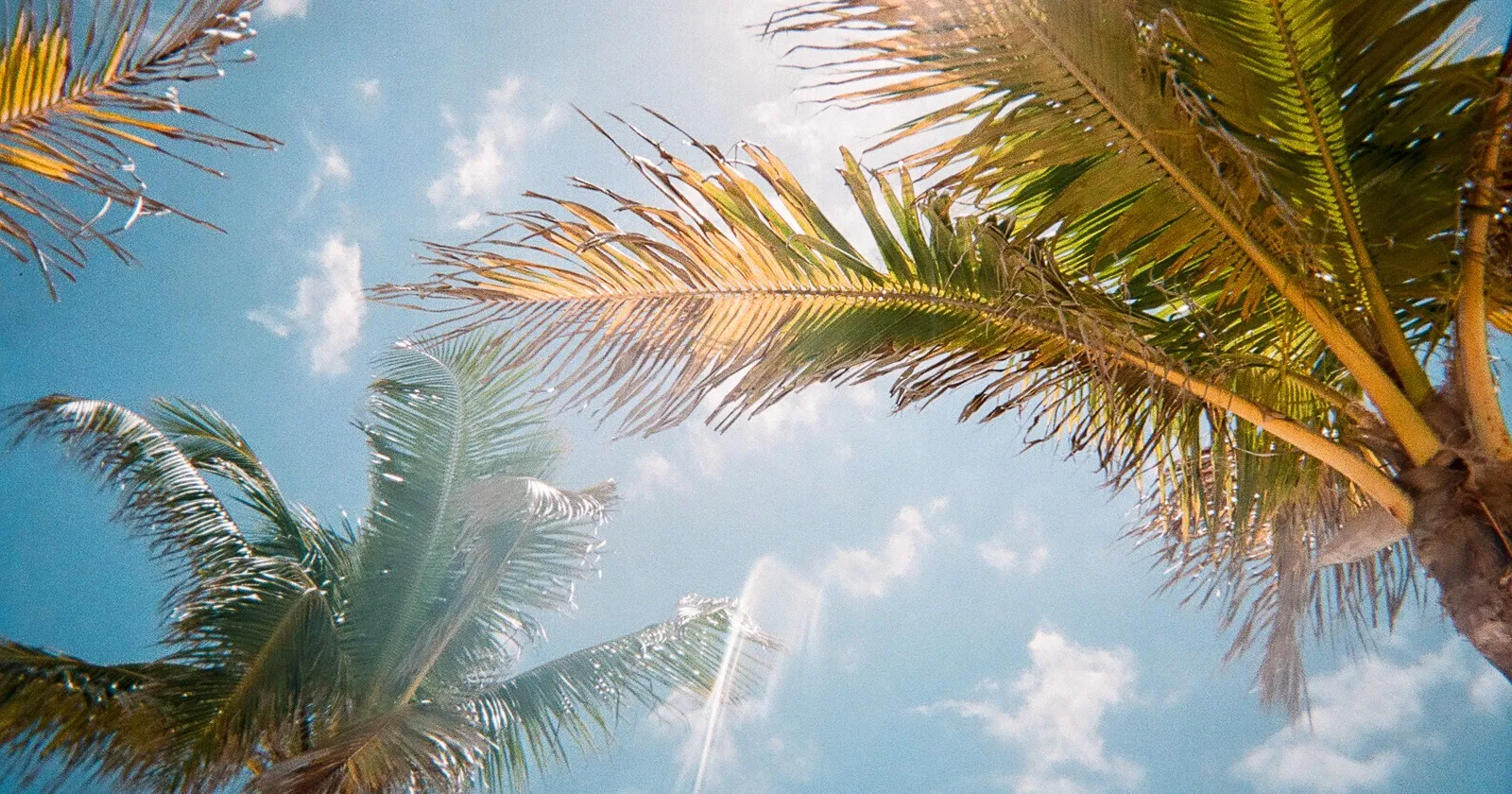 9476 orlando theme park couple