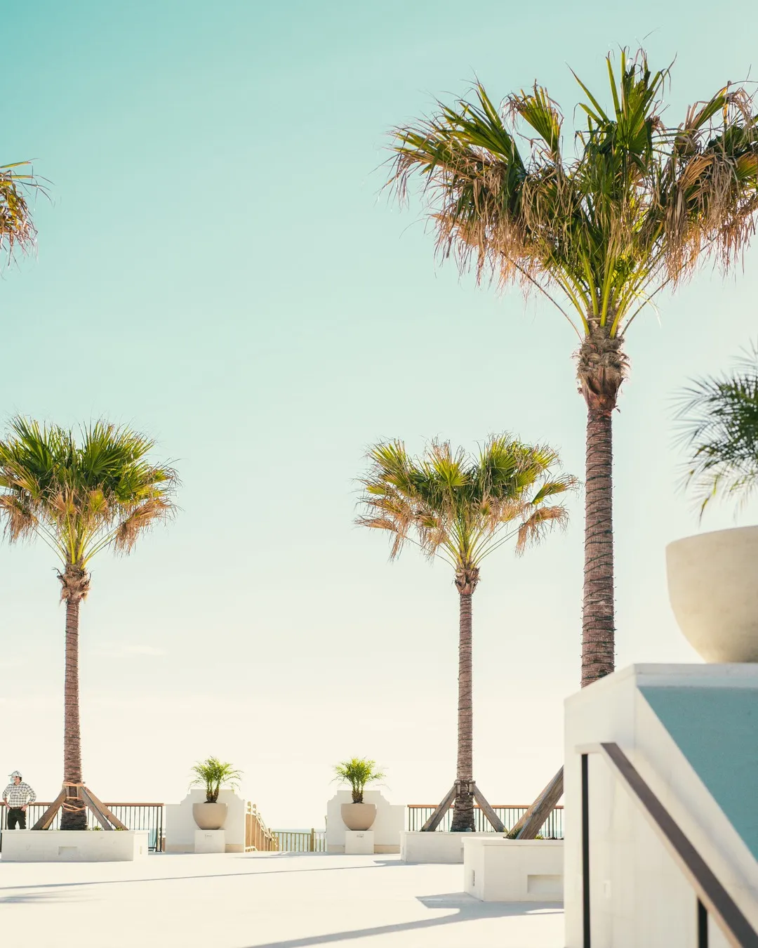 9476 romantic dinner orlando