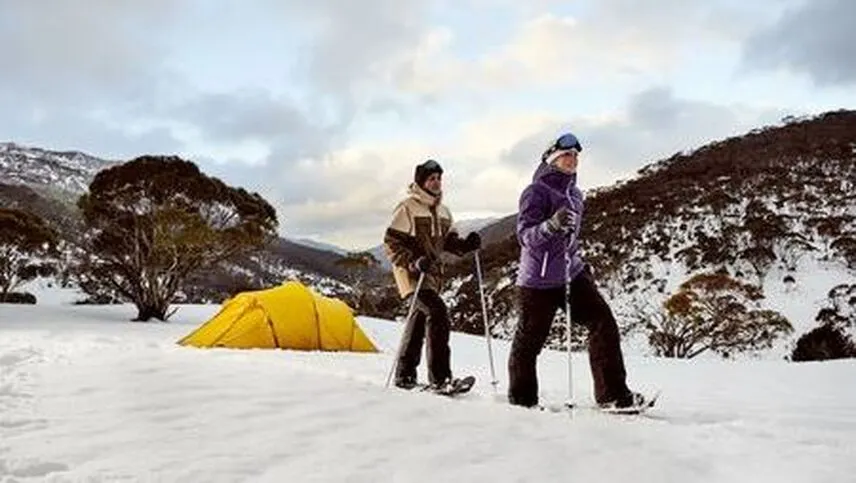 9494 kulu manali honeymoon image1