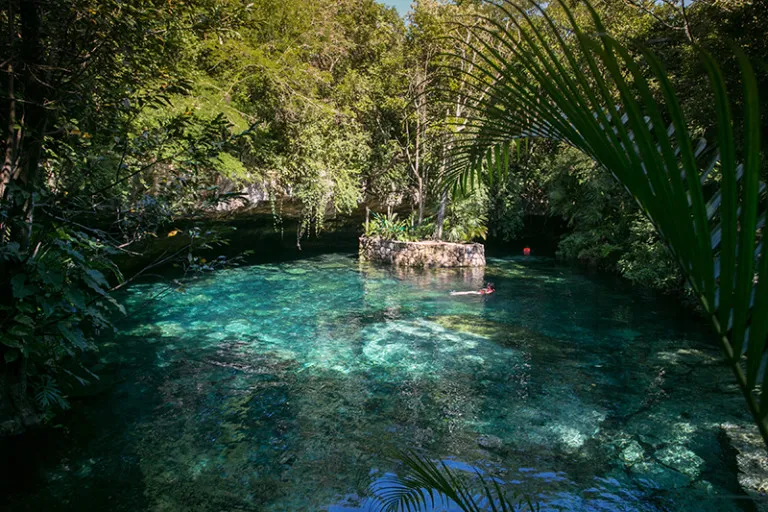 9502 mayan riviera honeymoon activities