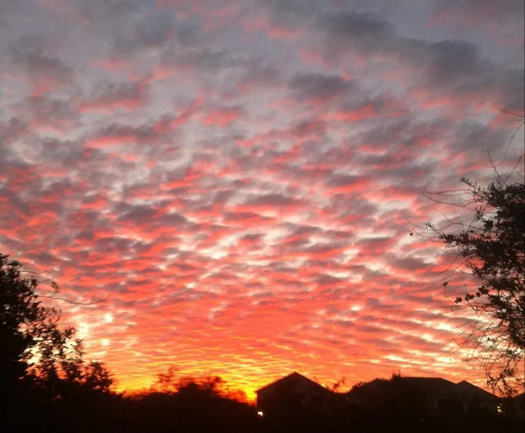 9513 florida nature trail