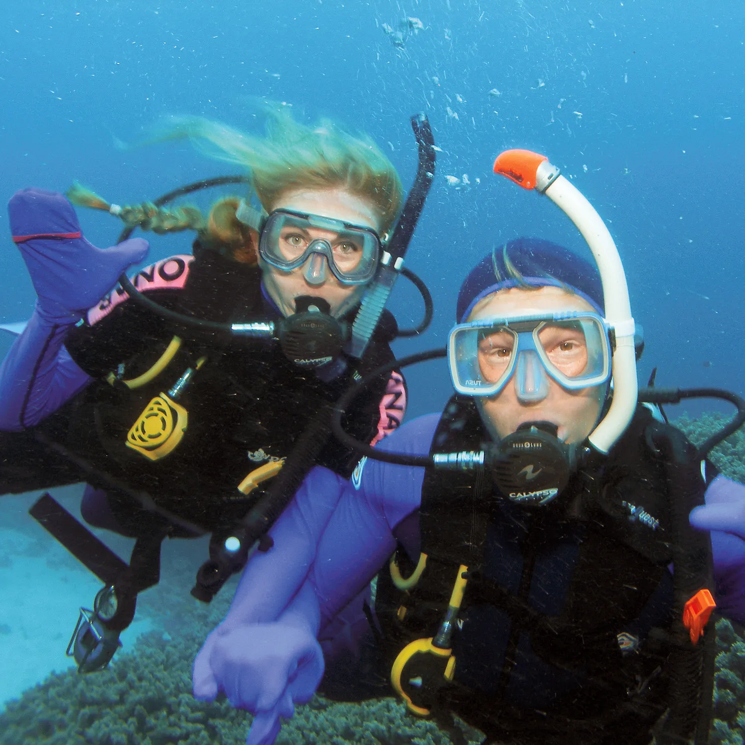 9519 website2 features