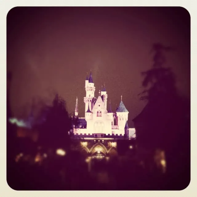 9526 disneyland honeymoon couple dining