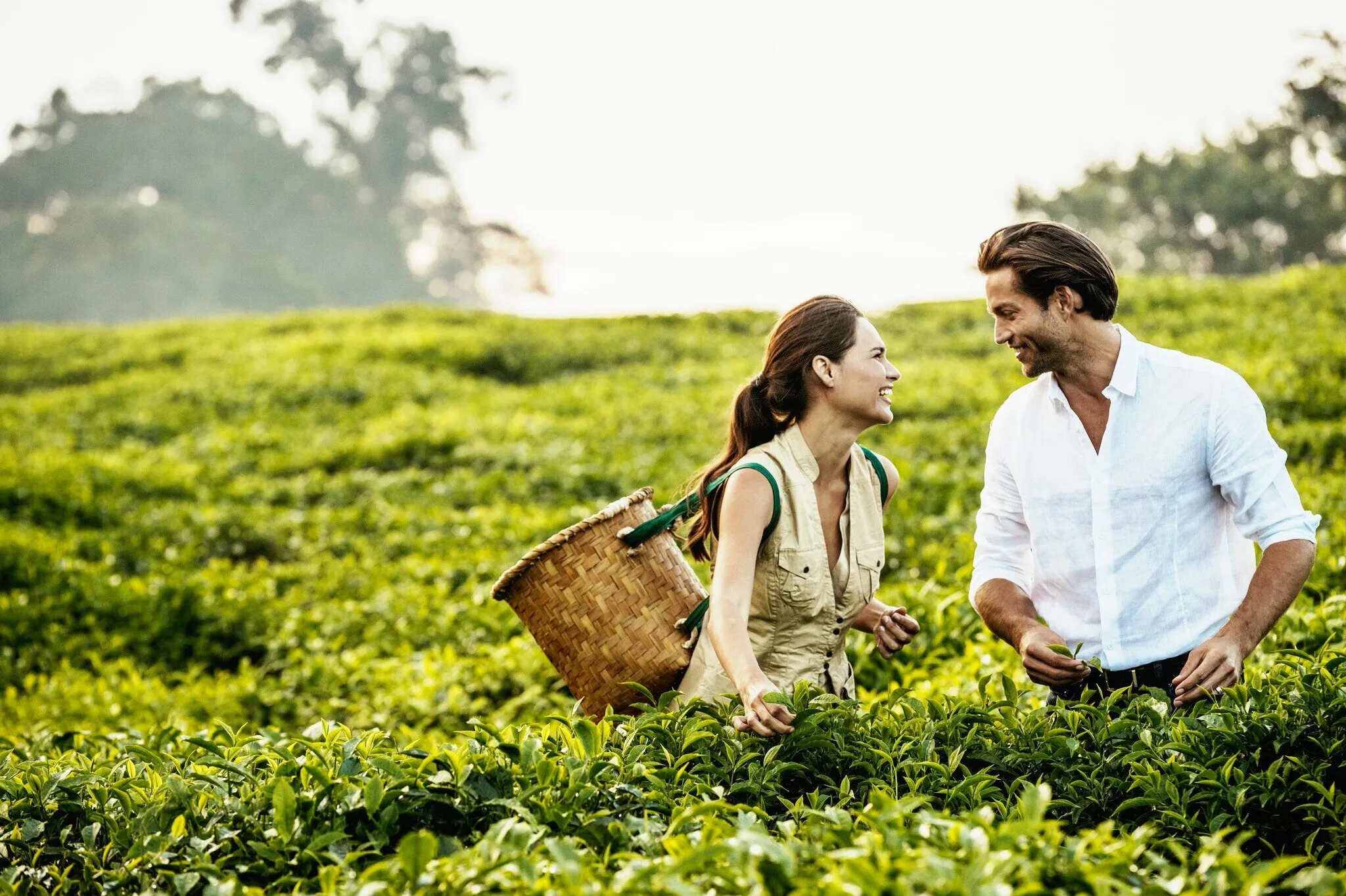 9528 south africa kruger safari