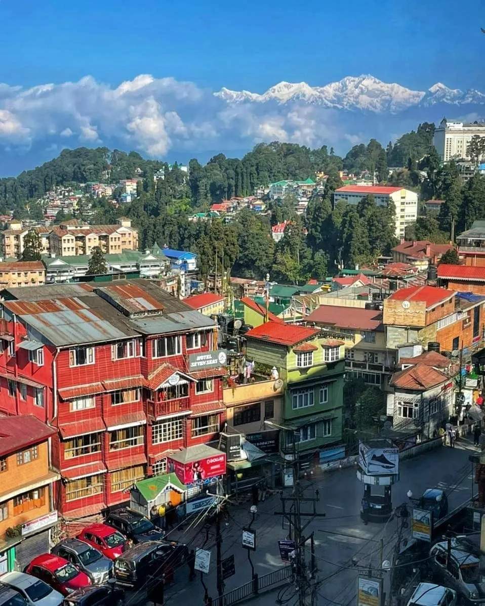9534 Munnar_tea_garden
