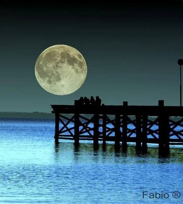 9537 paris honeymoon