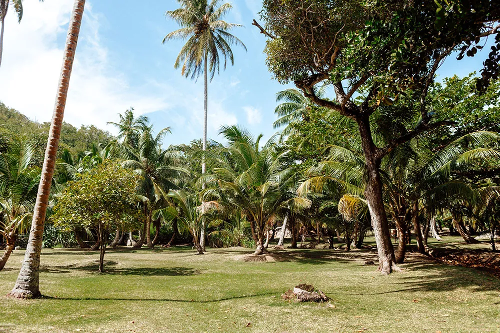 9539 seychelles beach