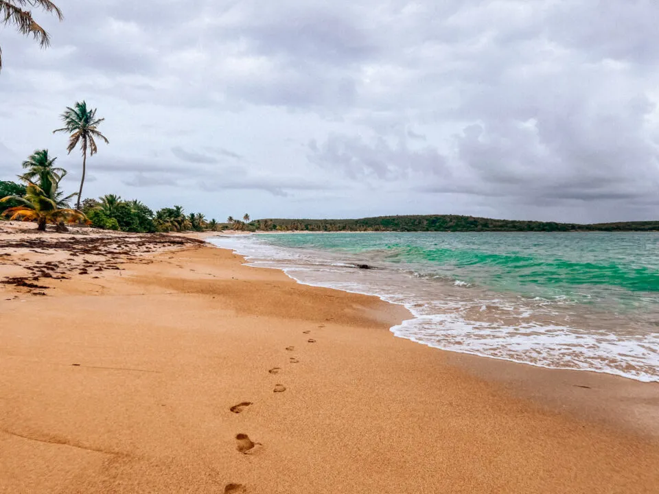 9541 el conquistador resort