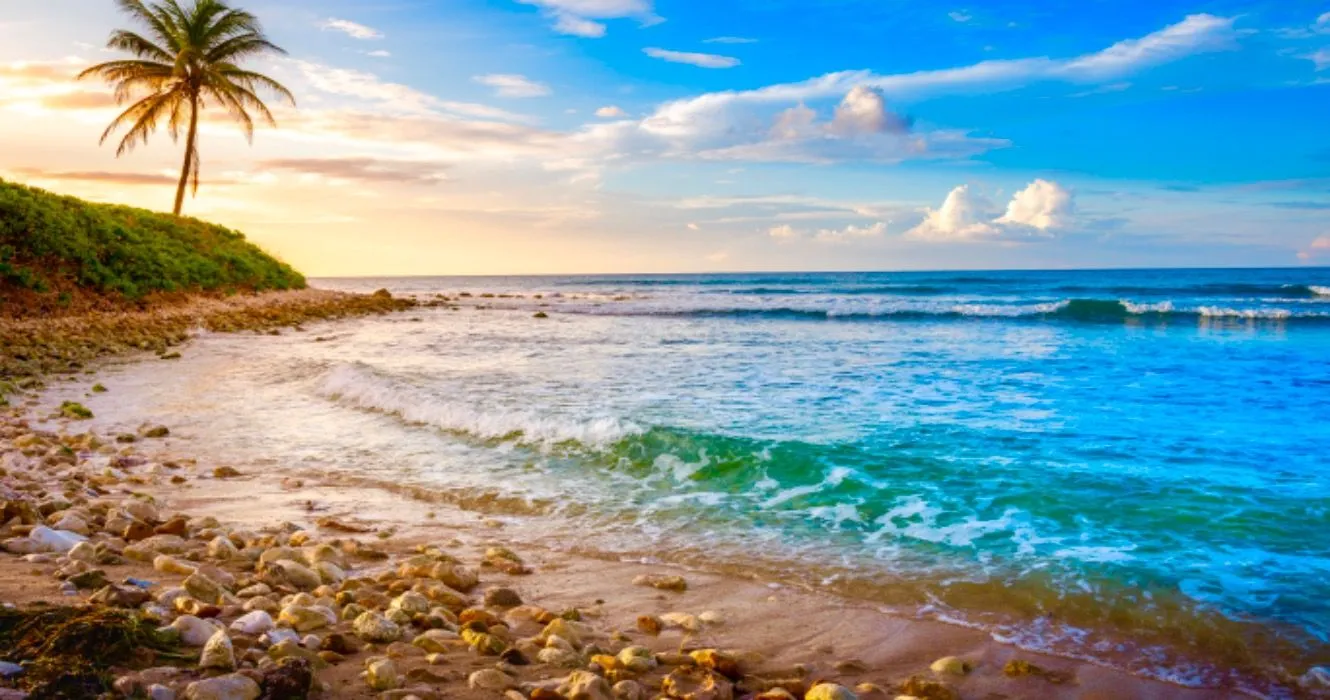 9543 honeymoon planning