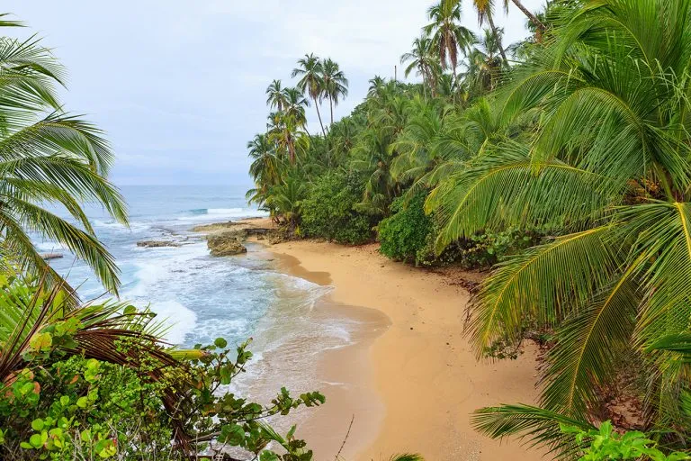 9543 kyoto honeymoon