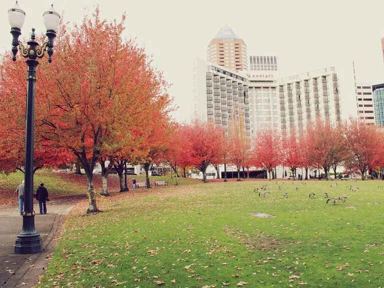 9548 thompson seattle rooftop bar