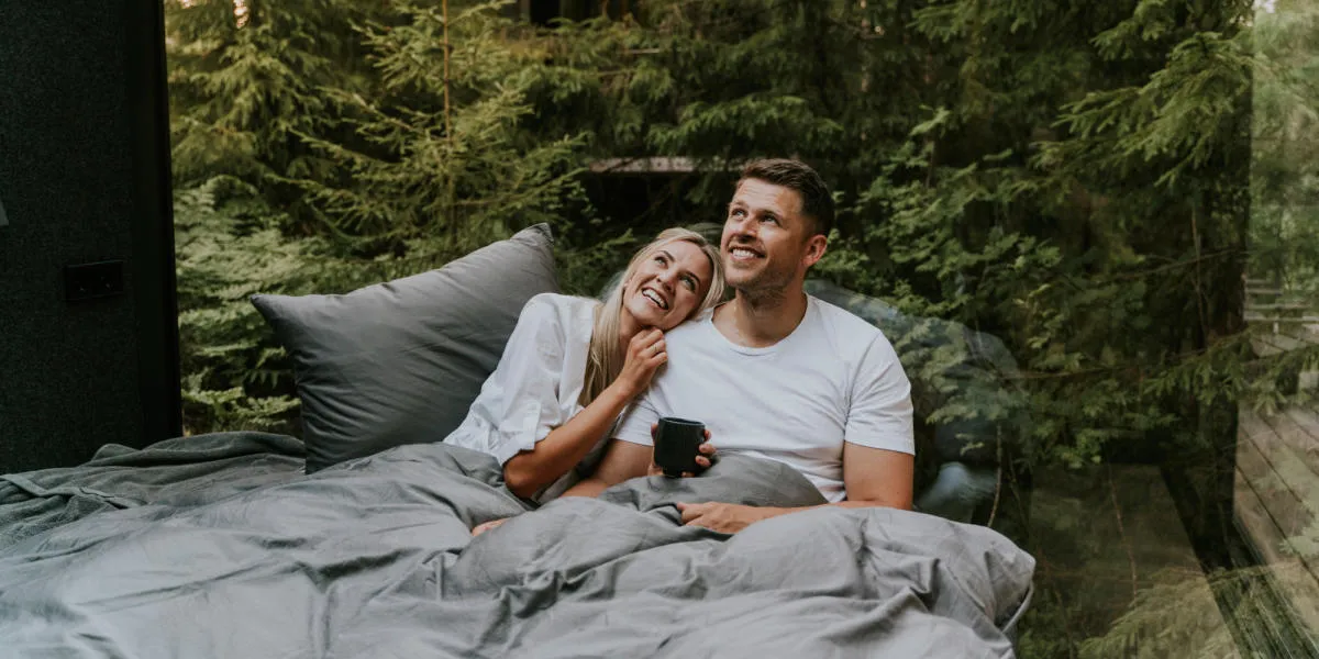 9556 northern lights norway