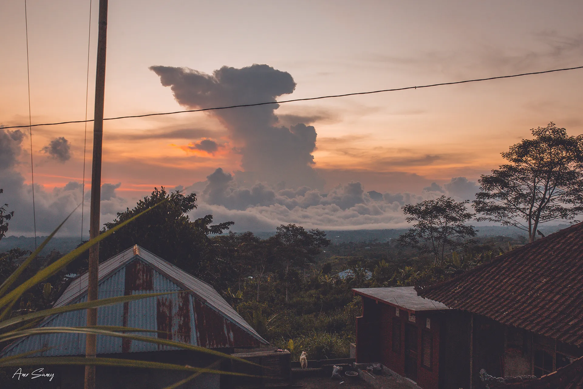9558 ubud rice terraces