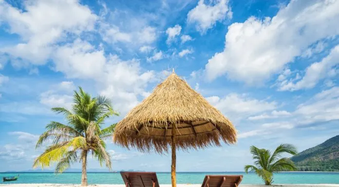 9561 lakshadweep honeymoon