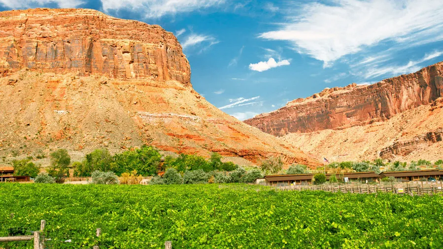 9563 grand canyon honeymoon