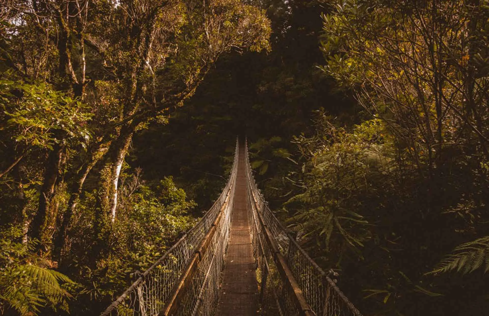 9566 rotorua geothermal honeymoon