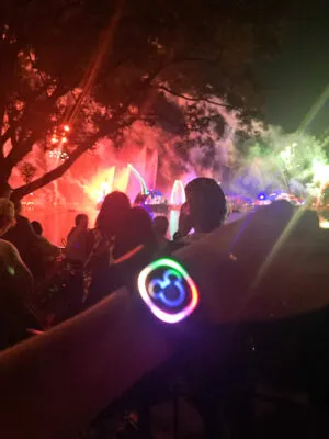 9584 disney honeymoon magicband park entry
