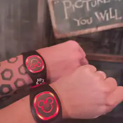/img/9584-disney-honeymoon-magicband-troubleshooting.webp