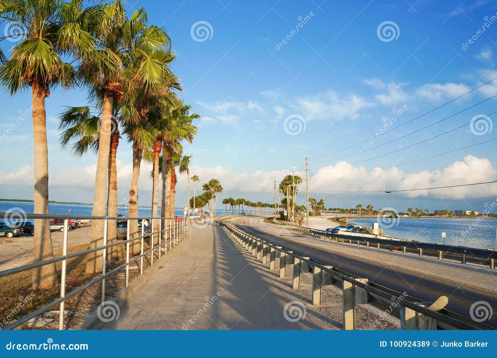 9586 caladesi island florida