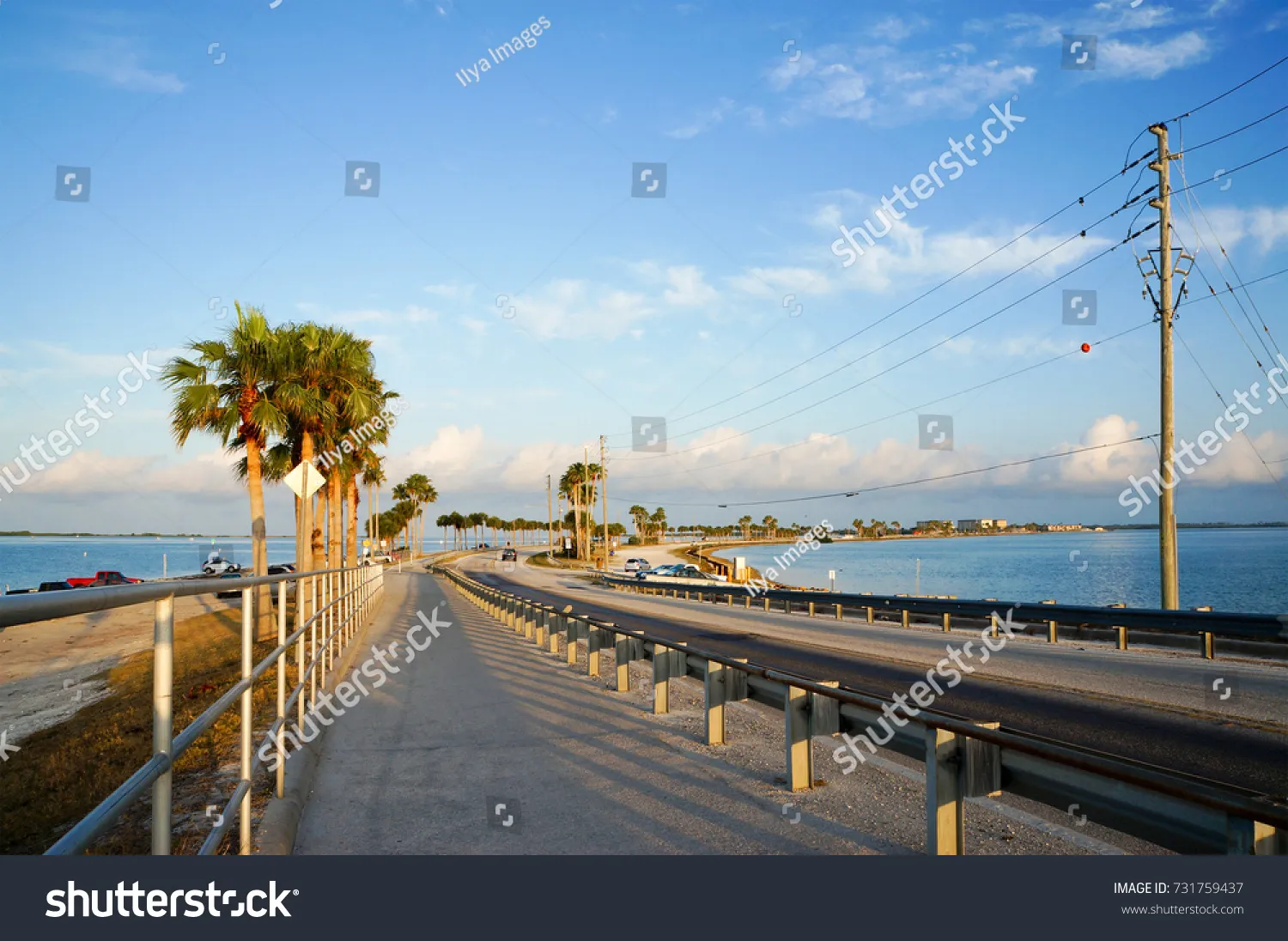 9586 wildlife honeymoon island