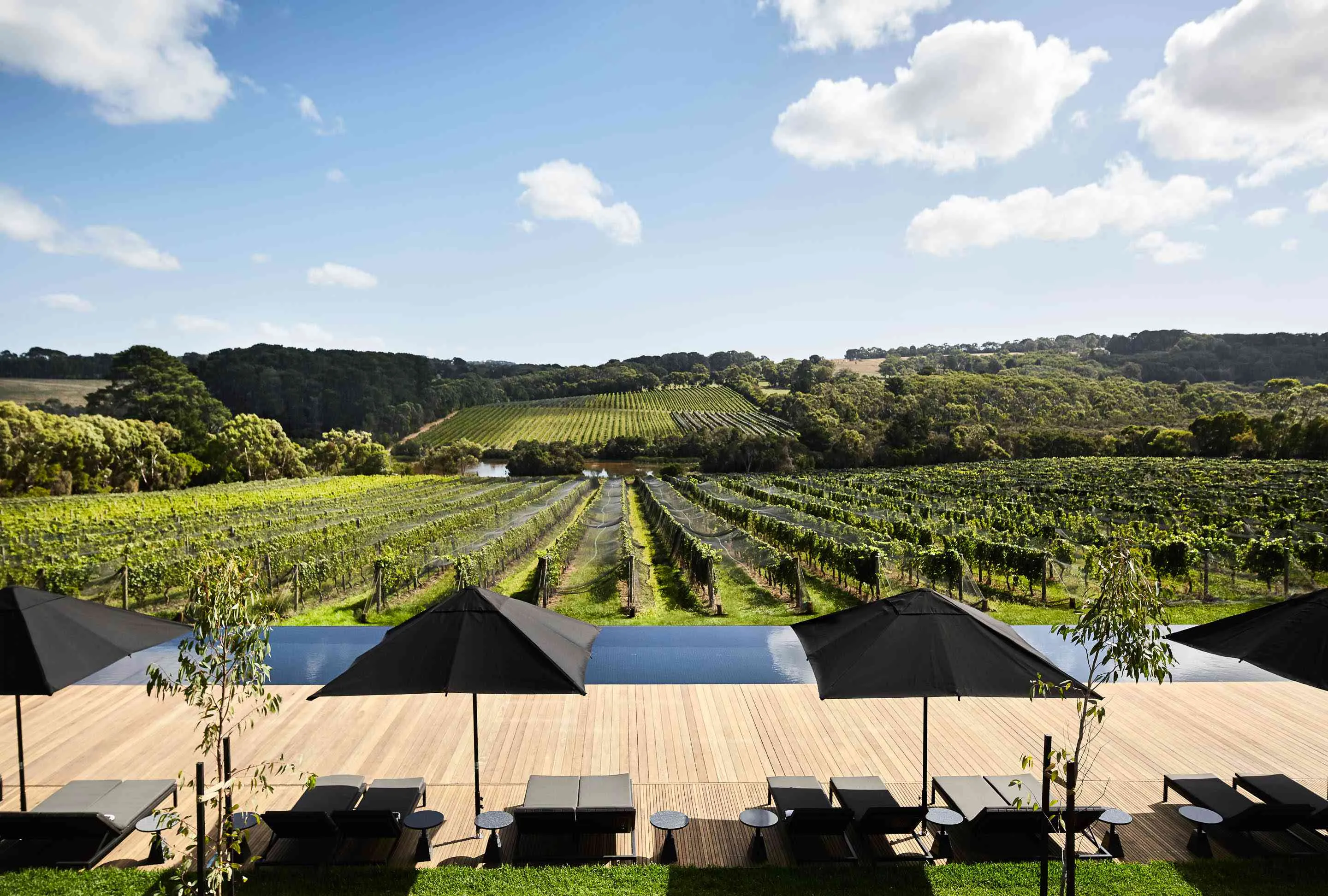 /img/9587-yarra-valley-wine.webp