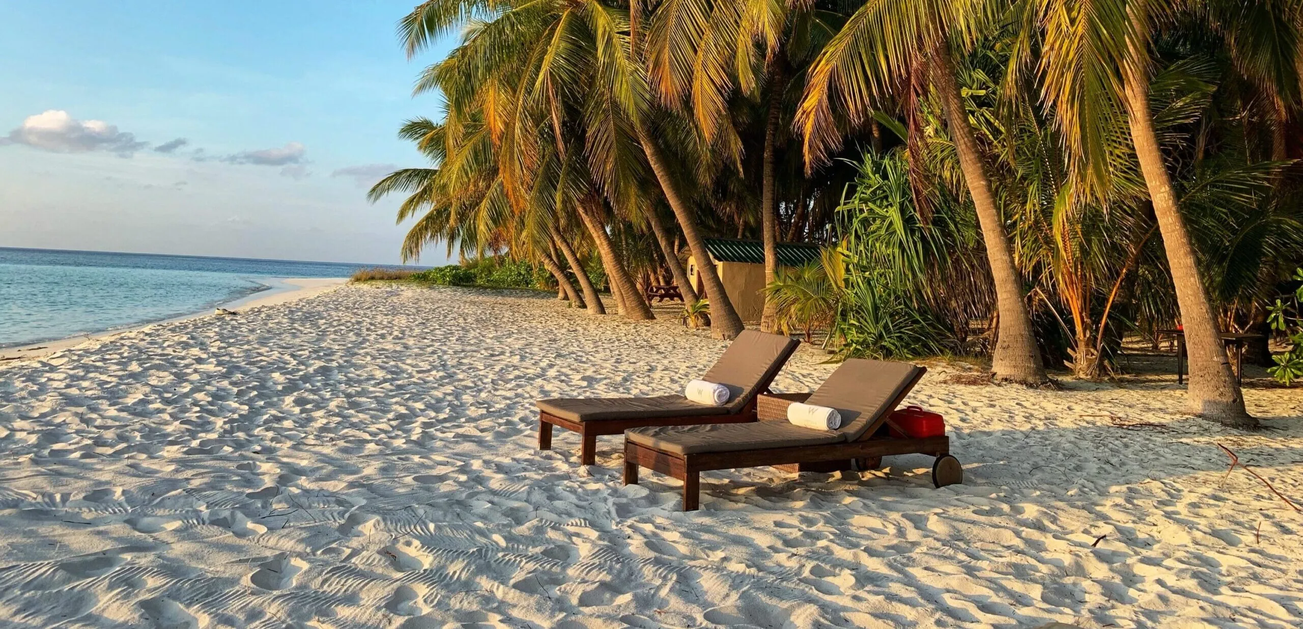 9591 savannah honeymoon