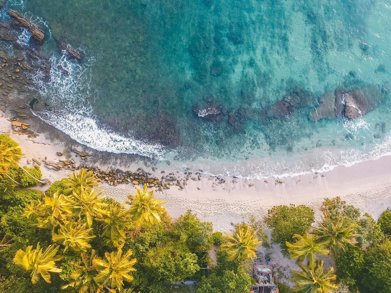 9615 paris honeymoon