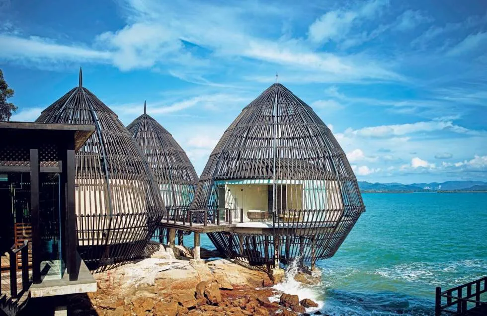 9618 cameron highlands tea