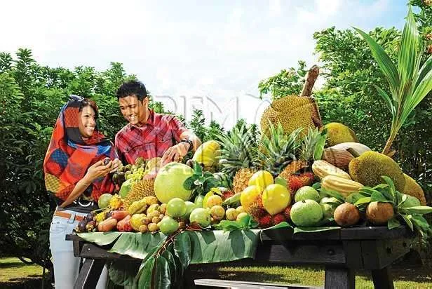 9618 malaysia honeymoon couple