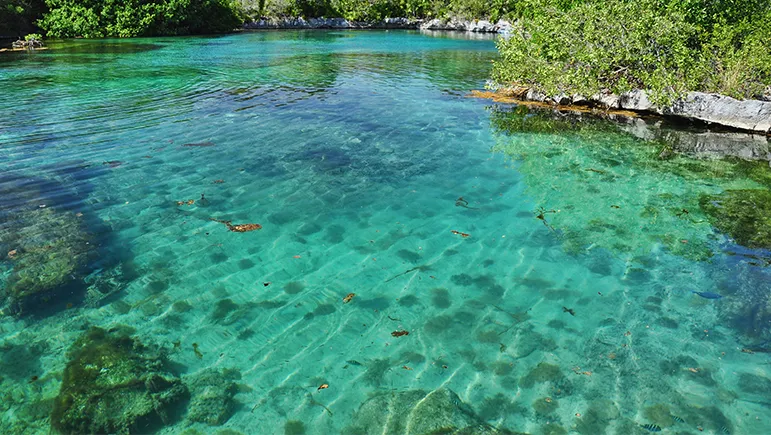 9644 honeymoon packing essentials