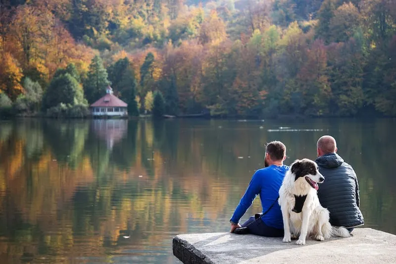 9648 napa valley honeymoon