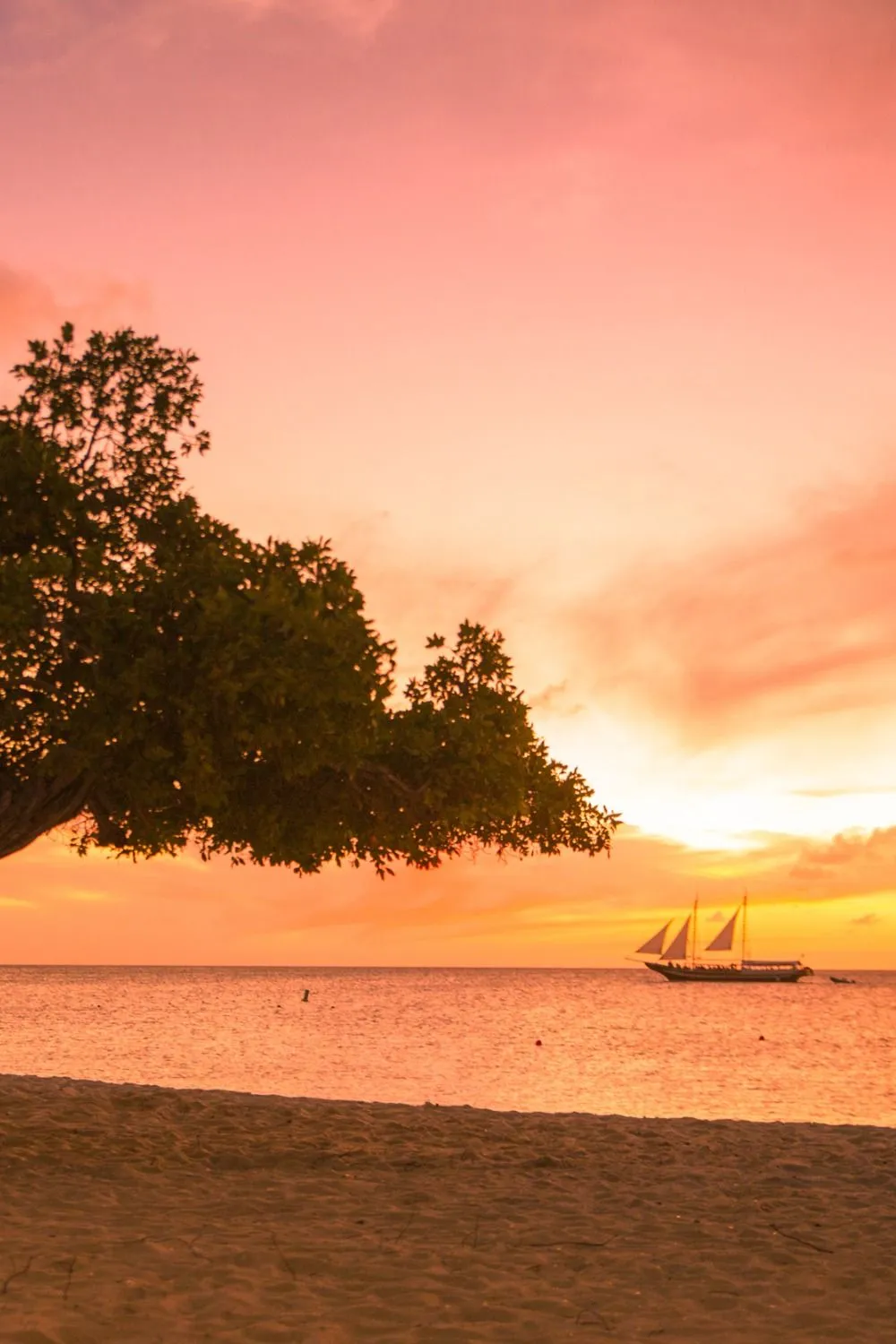 9661 aruba honeymoon couple dinner