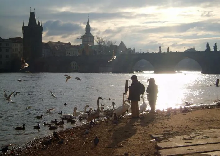 9663 prague castle honeymoon